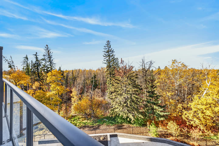 Balcony view over the ravine tree canopy